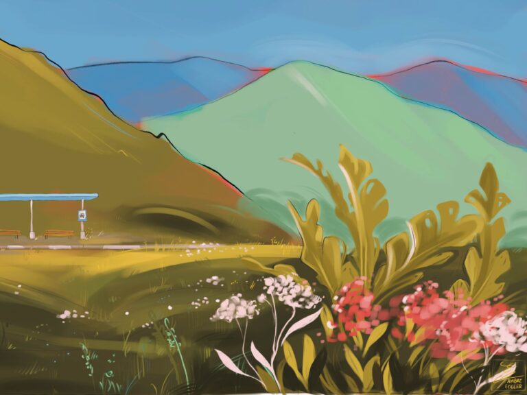 Illustratrice & Graphiste | Ambre Engler landscape paysage portrait